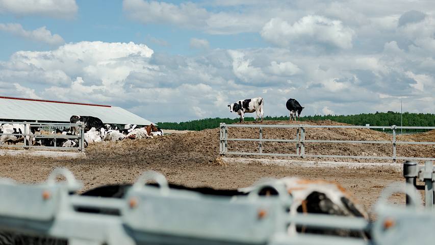 farm.jpg